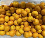 【广西】砂糖橘
