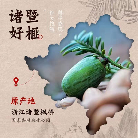 【青睐】诸暨香榧 500克