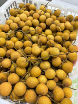 【泰国】新鲜龙眼