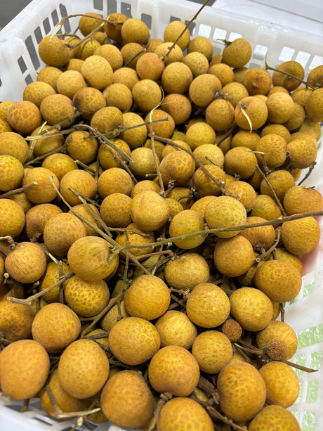 【泰国】新鲜龙眼