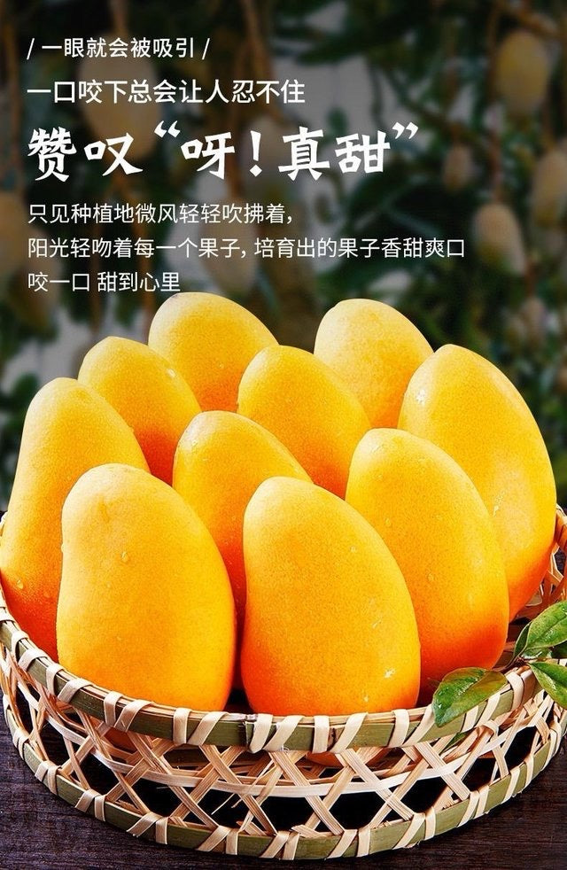 【哥伦比亚】空运蜂蜜小芒果 1箱2公斤