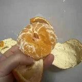 【广西】砂糖橘