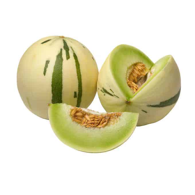 【DINO】Dinosaur melon