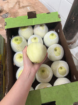 【美国】台湾香瓜