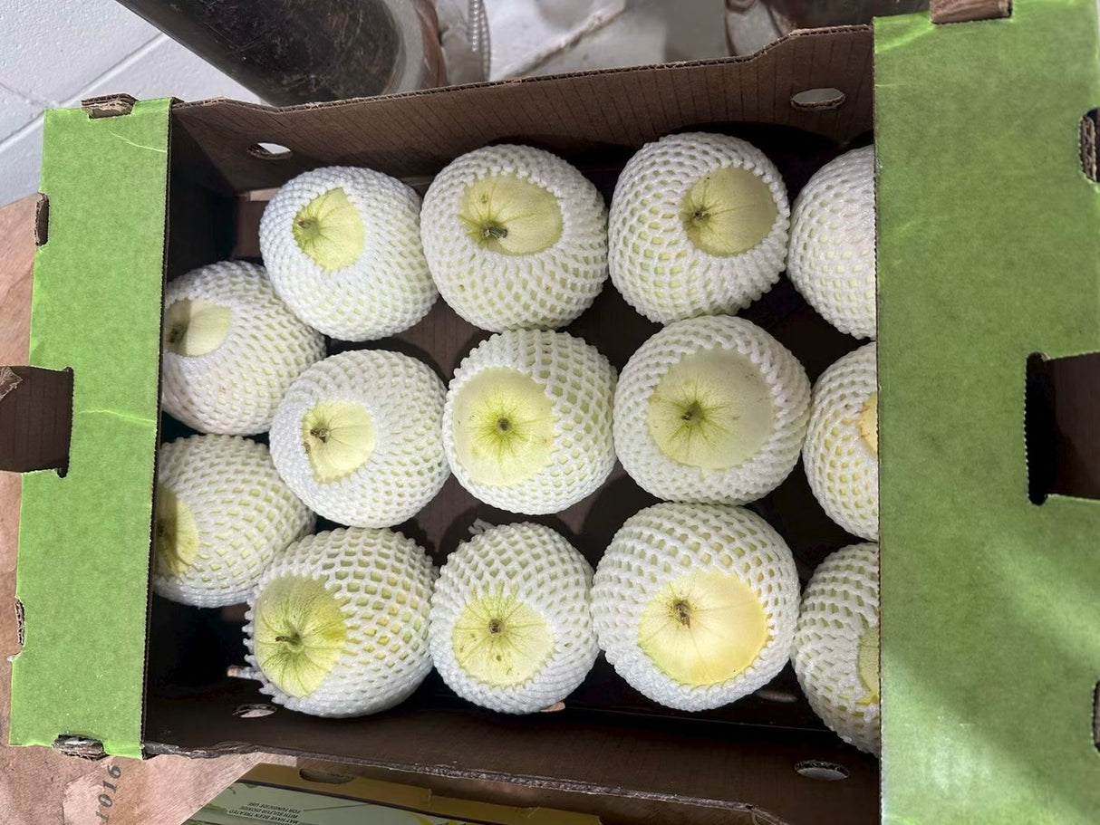 【美国】台湾香瓜