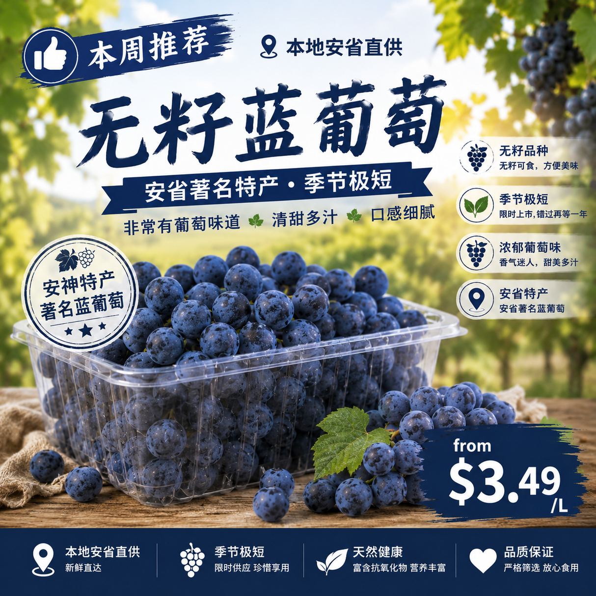 【Local】Seedless blue grapes 1.5L*2
