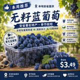 【Local】Seedless blue grapes 1.5L*2
