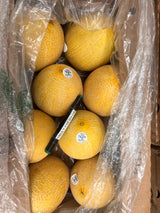 【HAMI】Cantaloupe