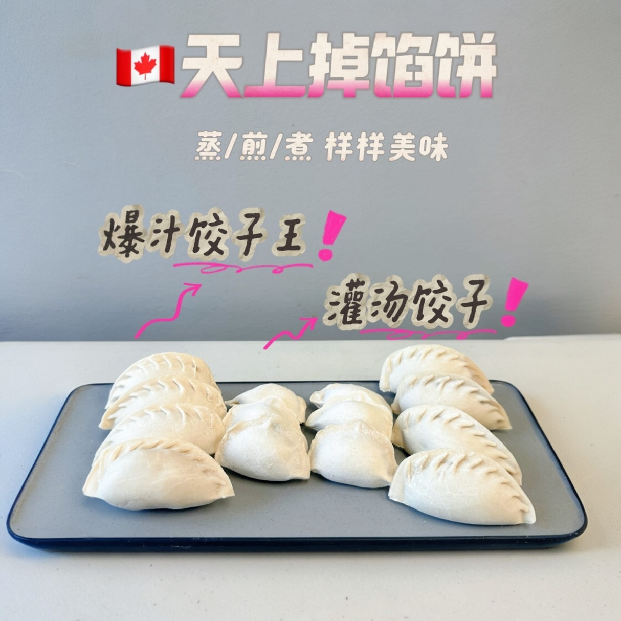 ❄️ 【天上掉馅饼】水饺 2.5磅*2
