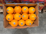 Special offer [Blue Bird] Navel Oranges 1 box 40 pounds