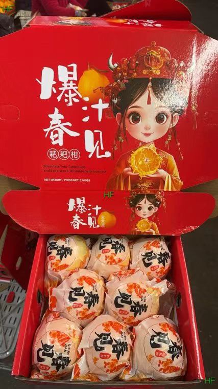 【中国】春见耙耙柑