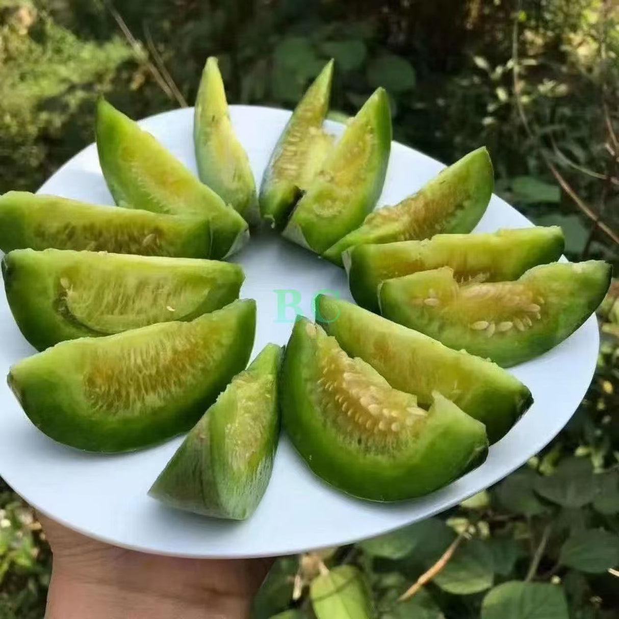 【本地】绿宝石蜜瓜 5磅