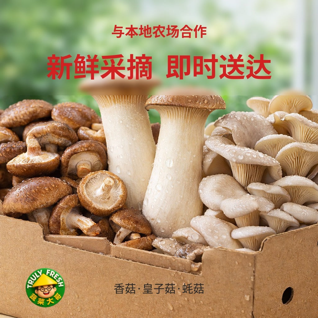 【Local】Dried Shiitake Mushrooms (Medium)