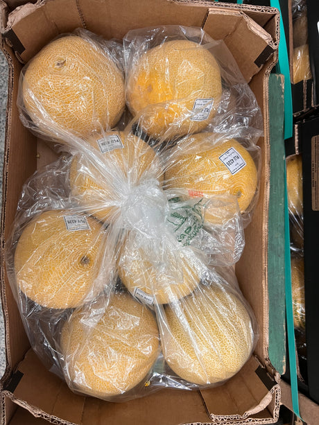 【GALIA】Galia melon