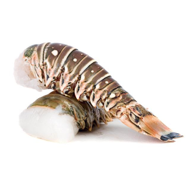 ❄️【South America】Wild lobster tails 2oz*10