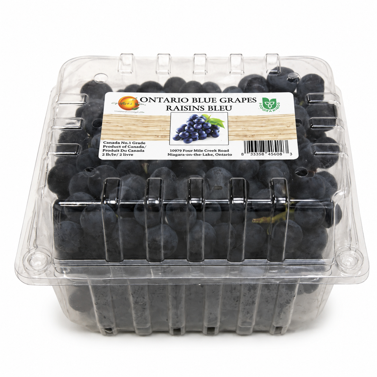 【Local】Seedless blue grapes 1.5L*2