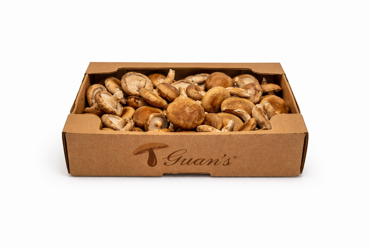 【Local】Dried Shiitake Mushrooms (Medium)