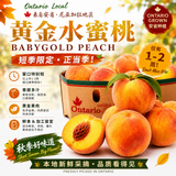 尝鲜【本地】黄金水蜜桃