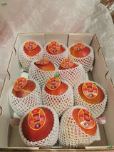 【秘鲁】空运太阳之子芒果礼盒 1箱5.25公斤