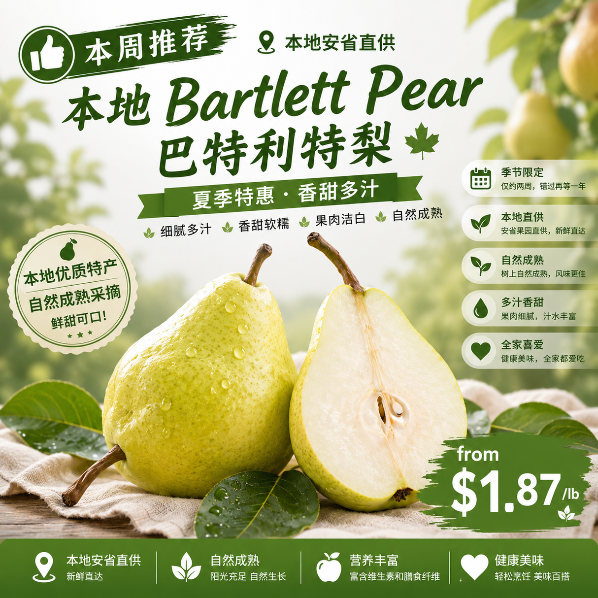 【本地】巴特利特梨