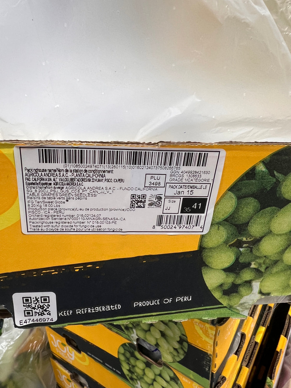 【USA】Seedless Green Grapes 3 lbs