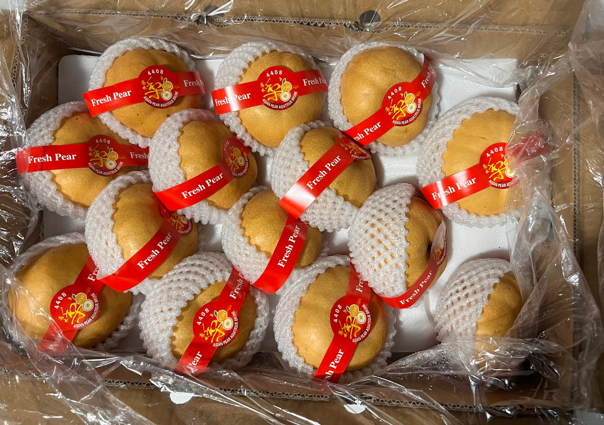 【中国】南水梨