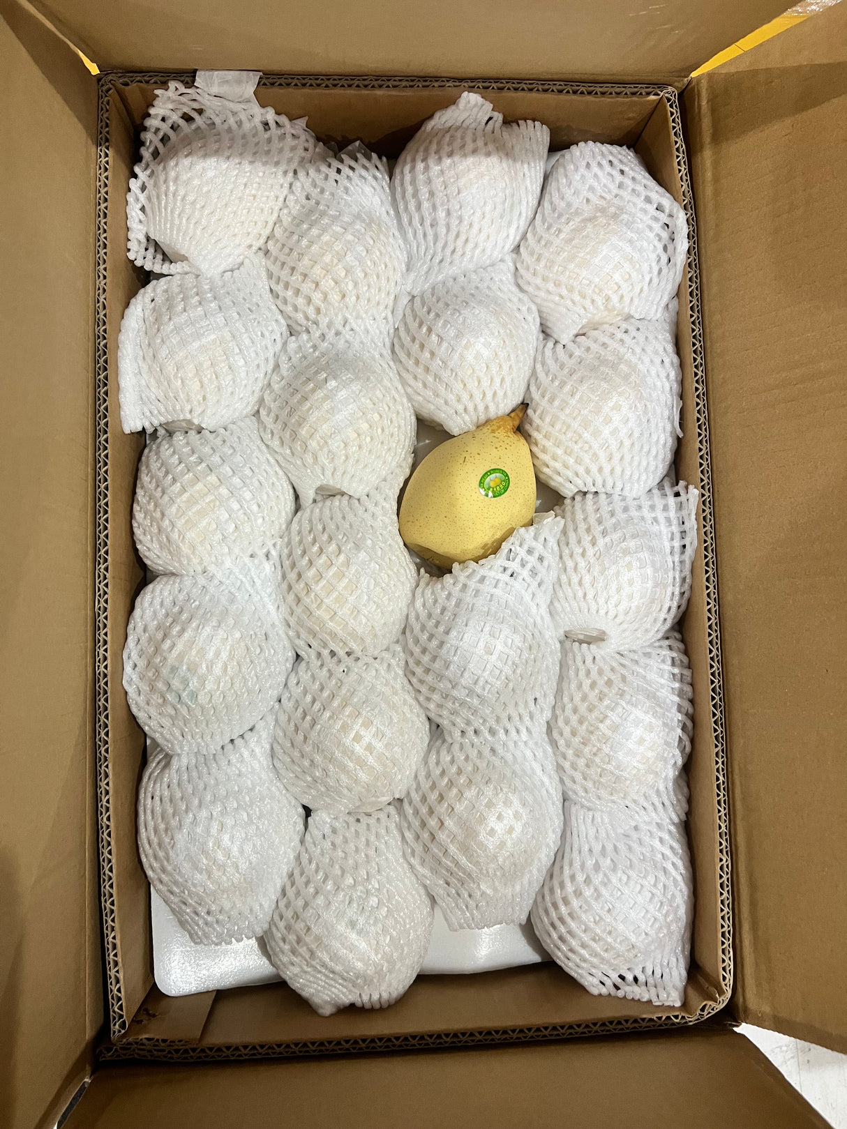 【河北】鸭梨