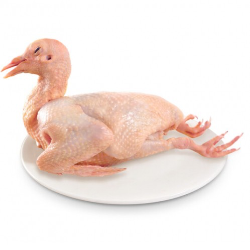 ❄️ [Local] Farmed Squab