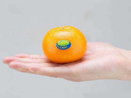 【JAFFA】Orri 甜桔