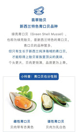 ❄️ 【GREENSHELL】New Zealand Mussels