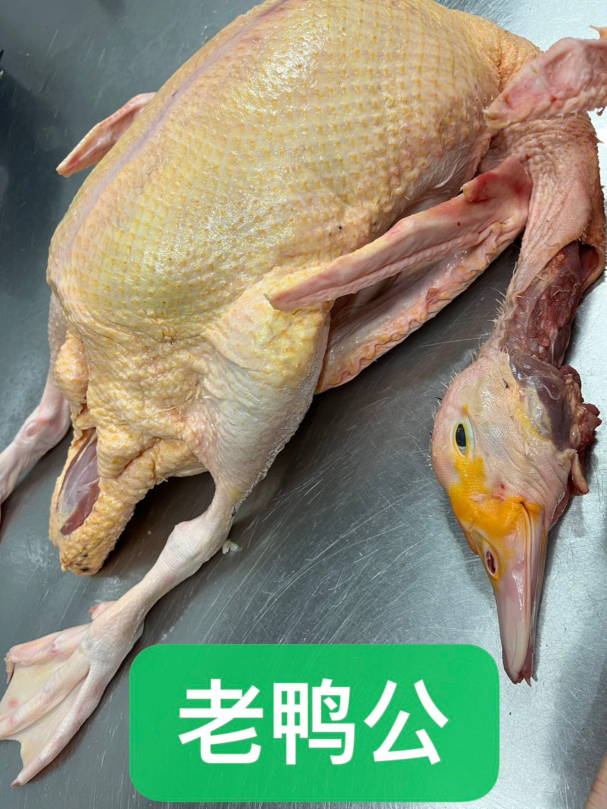 ❄️【本地】农场番鸭公 1只
