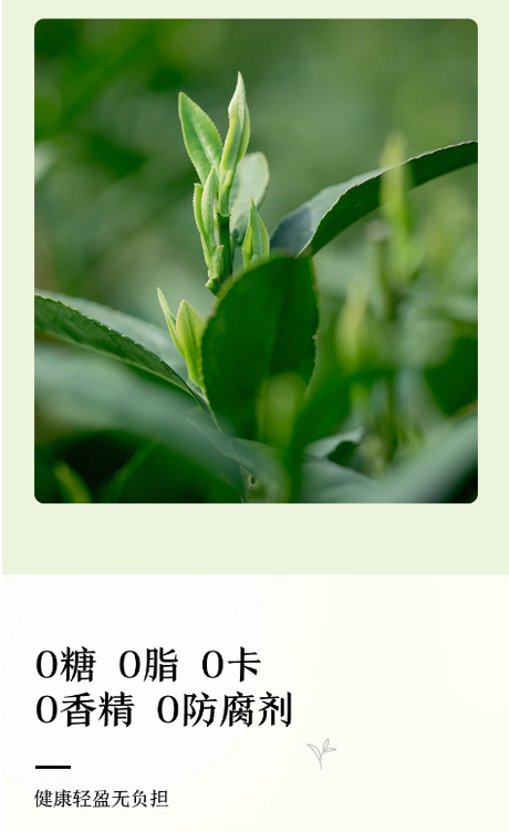 【农夫山泉】东方树叶茉莉花茶 900ml*12大瓶