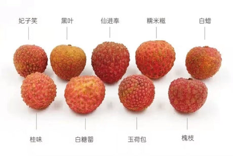 【中国】黑叶荔枝