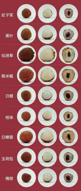 【中国】黑叶荔枝