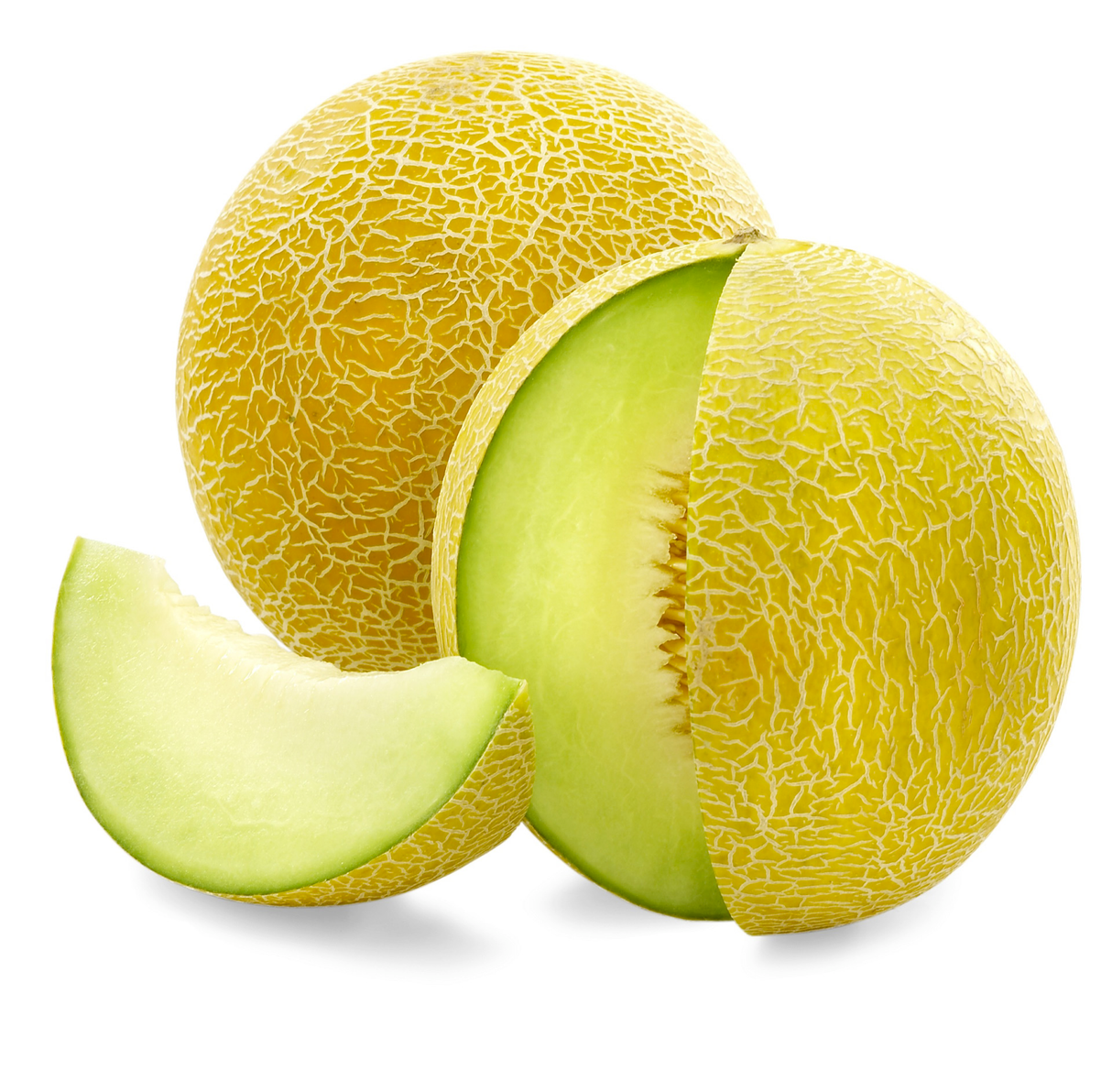 【GALIA】Galia melon