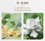 【果子熟了】栀栀乌龙茶 500ml*15