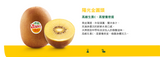 特价【ZESPRI】黄金猕猴桃