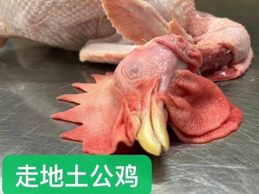 ❄️【本地】走地土公鸡 1只