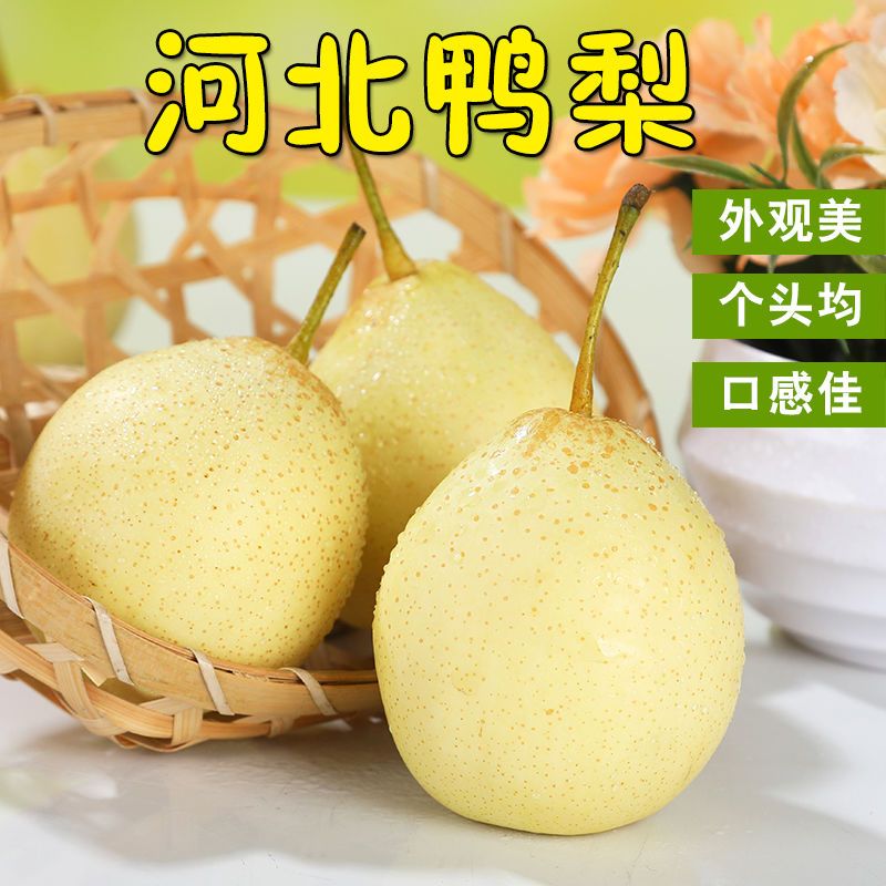 【河北】鸭梨