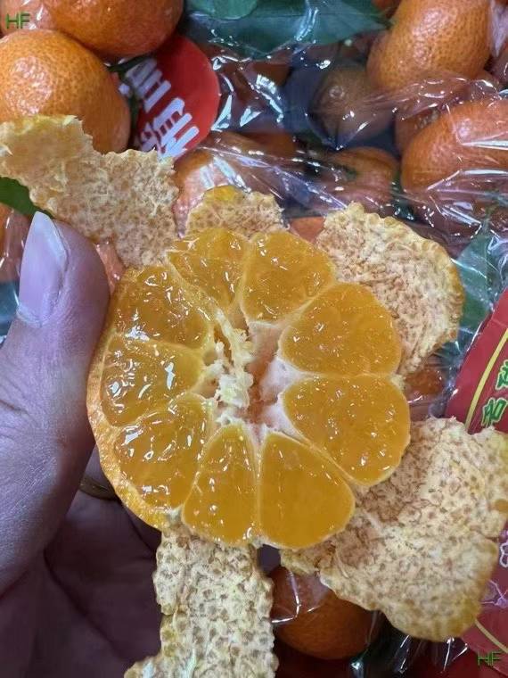 【广西】砂糖橘