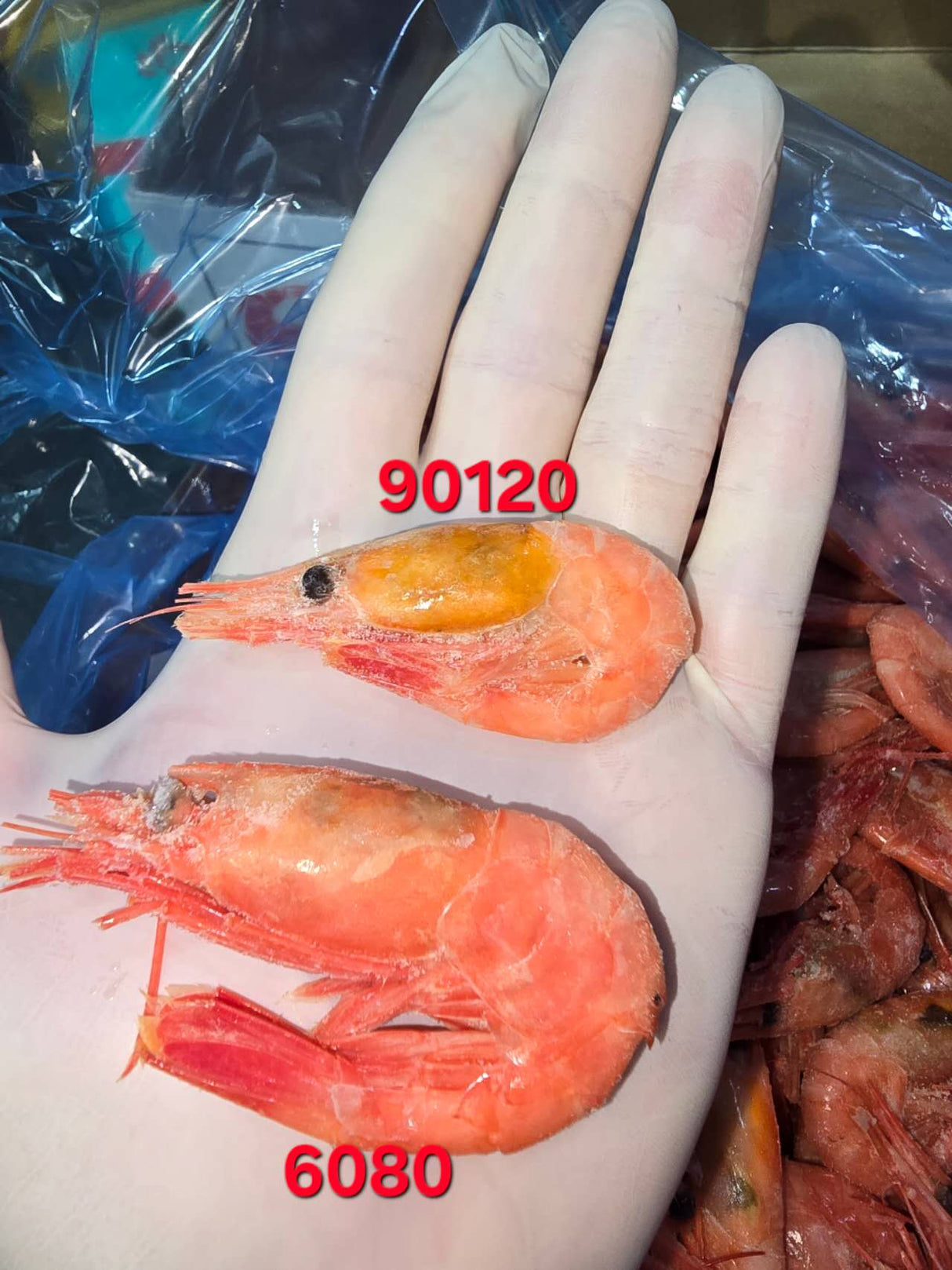 ❄️【加拿大】北极甜虾 1箱11磅