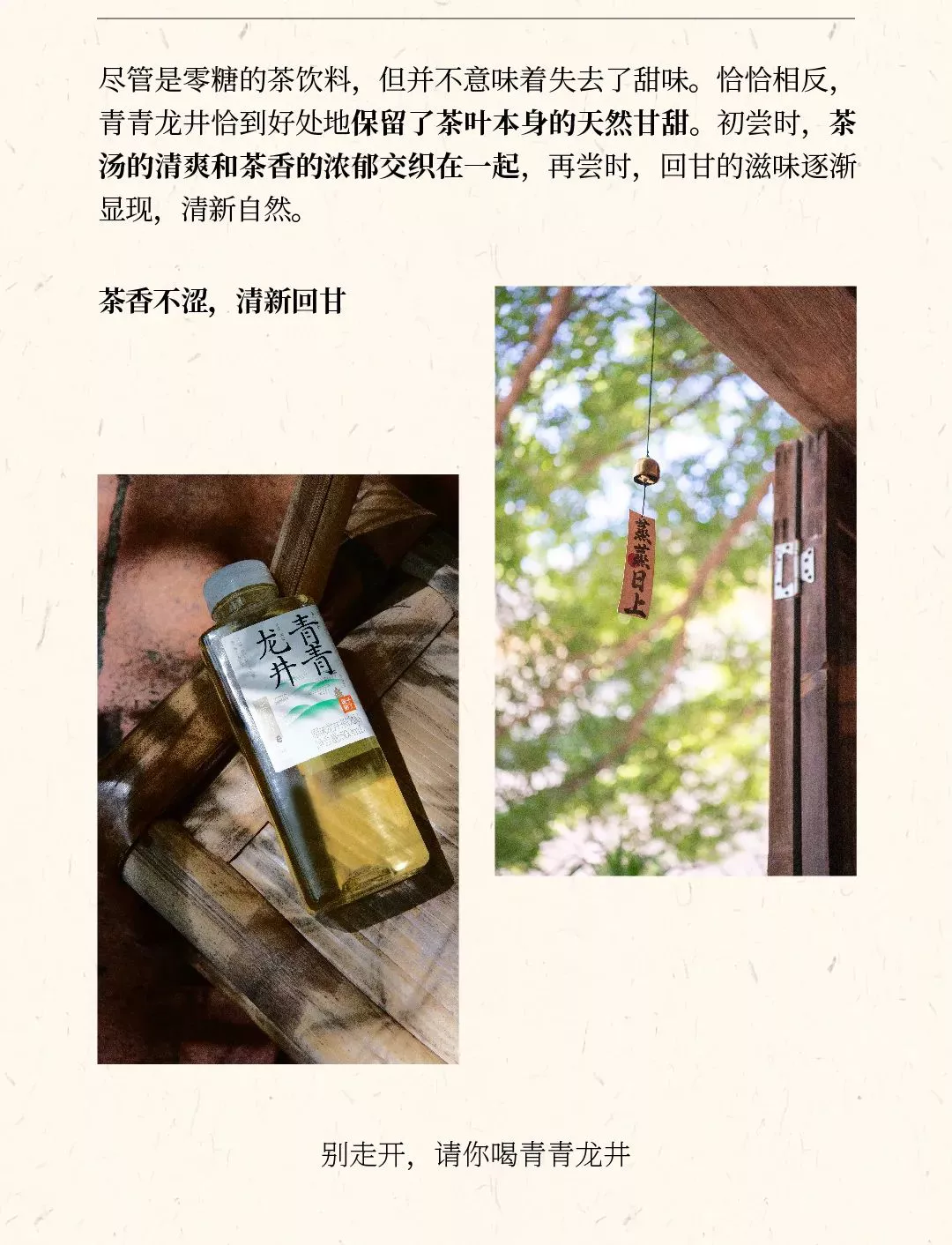 【果子熟了】青青龙井 500ml*15