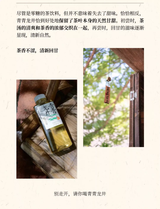 【果子熟了】青青龙井 500ml*15