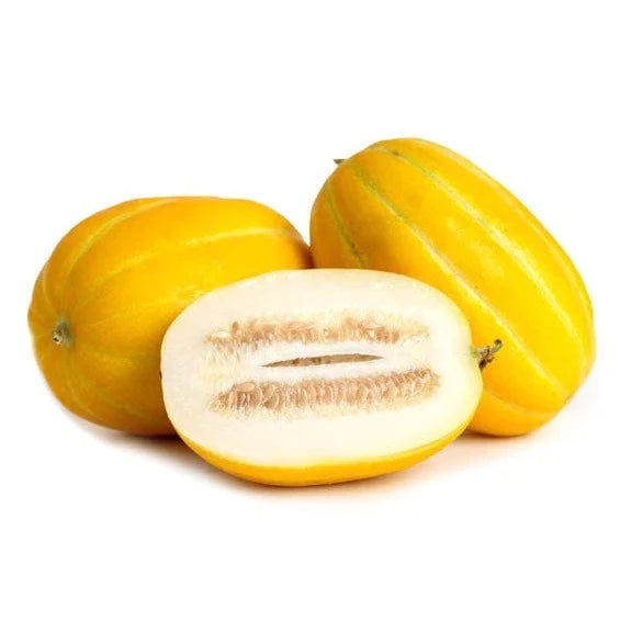 【韩国】黄金瓜 1箱10磅