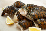 ❄️【TRULY FRESH】Wild Lobster Tails