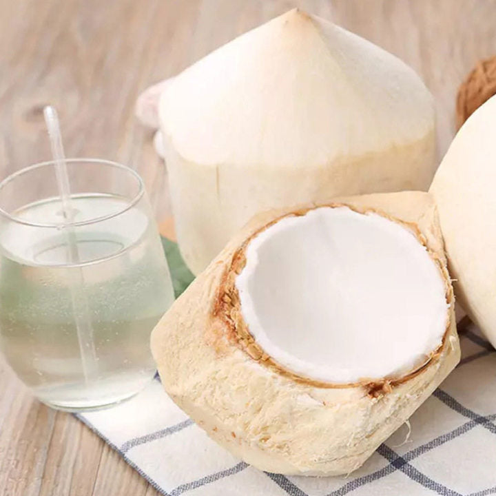 【越南】吸管椰青1箱12枚