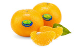 【ORRI】Israeli Sweet Orange