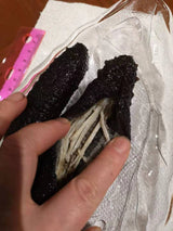 【北大西洋】海参 半磅