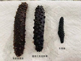 【北大西洋】海参 半磅