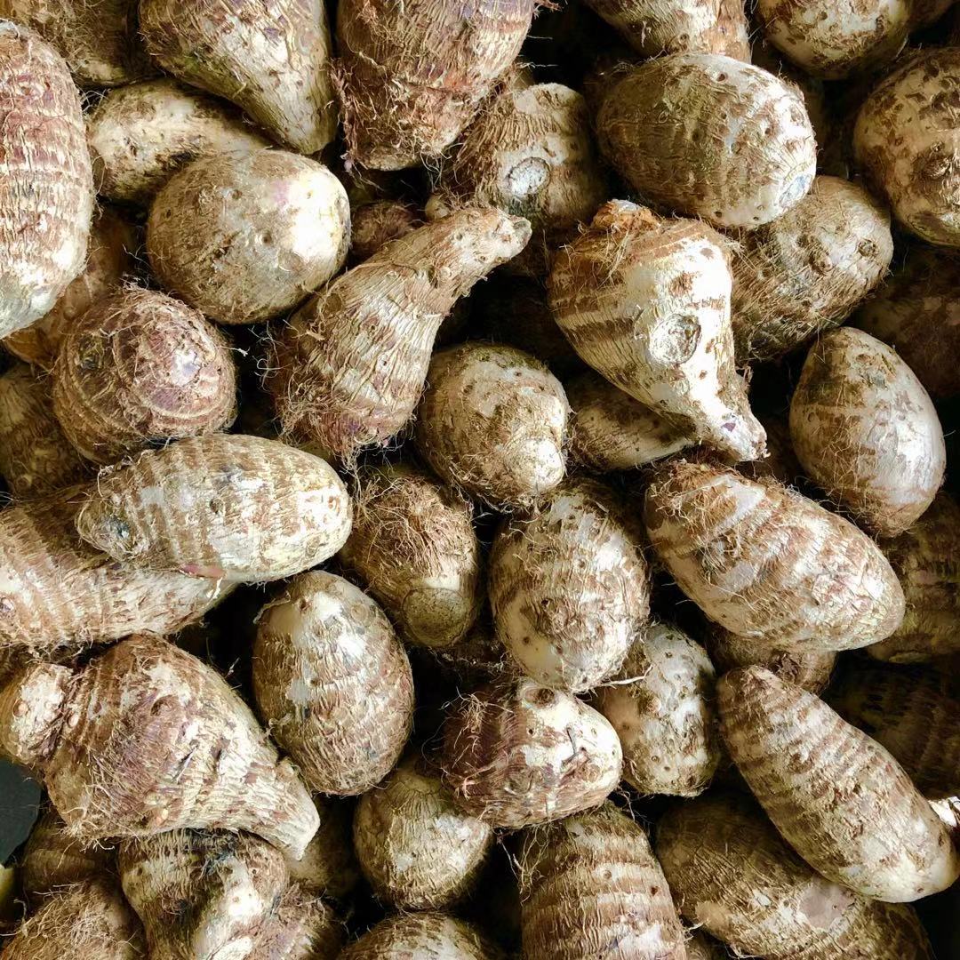 【中国】新鲜芋仔